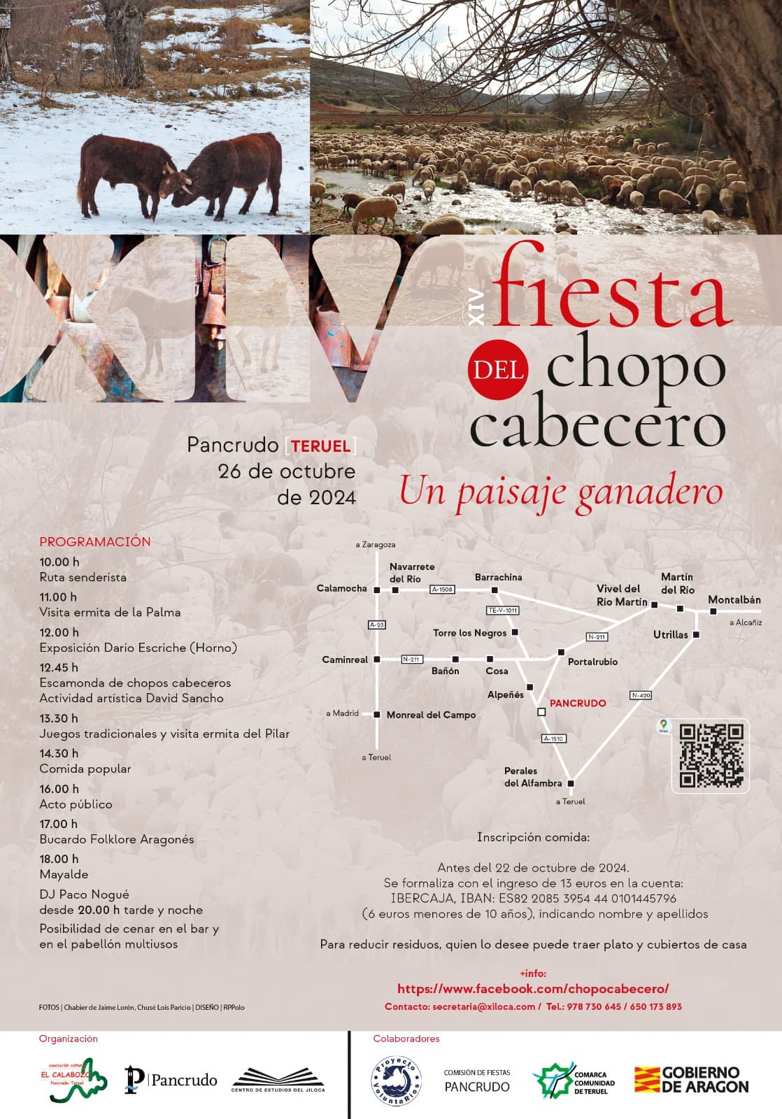 Cartel XIV Fiesta del chopo cabecero, en Pancrudo el 26 de Octubre de 2024